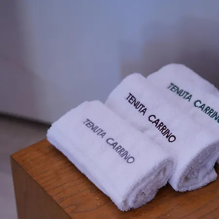 Guest house Tenuta Carrino