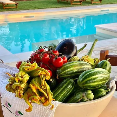 Tenuta Carrino Guest house Porto Cesareo